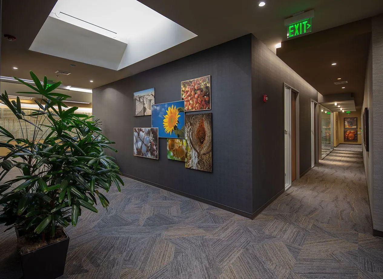 Farm Credit West, Rocklin, Ca. Borges Architectural Group | photograph by Ed Asmus