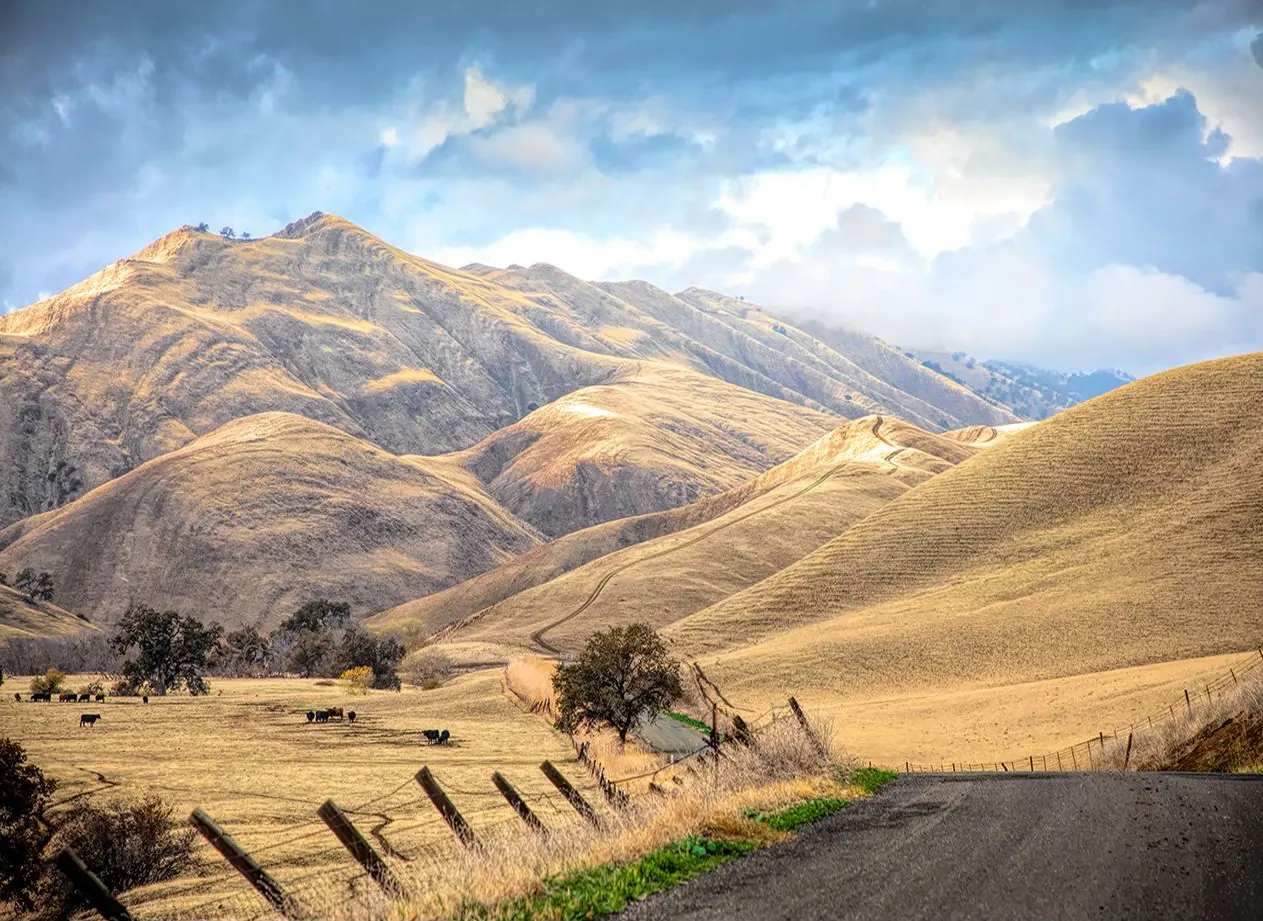 Off of Highway 20, Williams, Ca | photograph by Ed Asmus