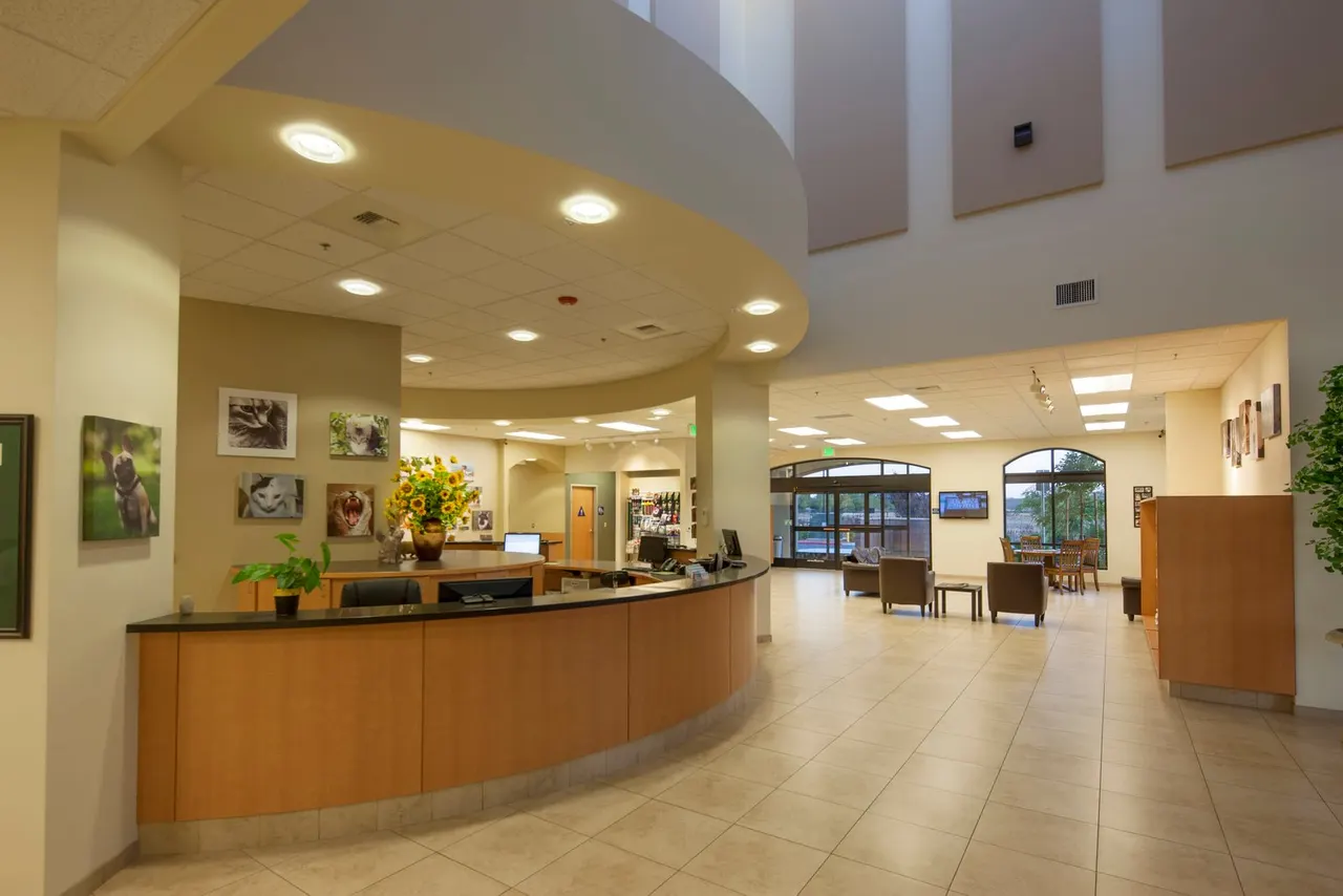 Mueller's Animal Hospital, Sacramento, CA | photograph by Ed Asmus
