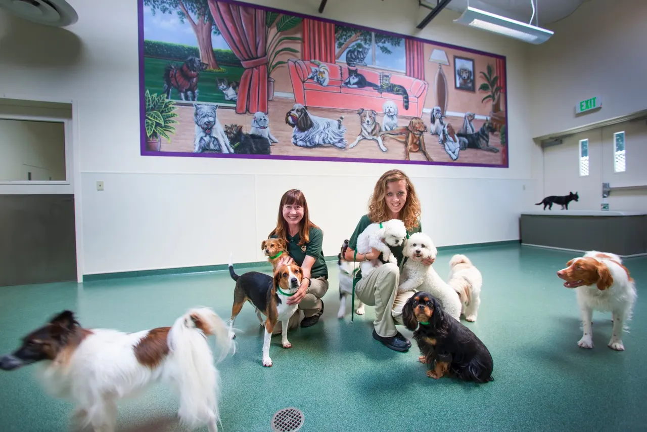 Muellers Animal Hospital, Sacramento, CA | photograph by Ed Asmus