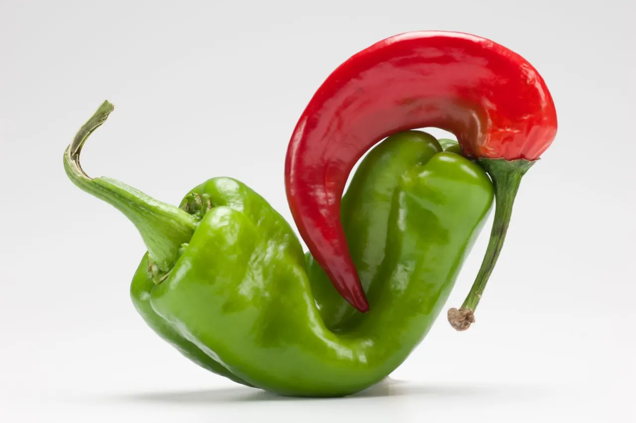 Chili Peppers | photograph by Ed Asmus
