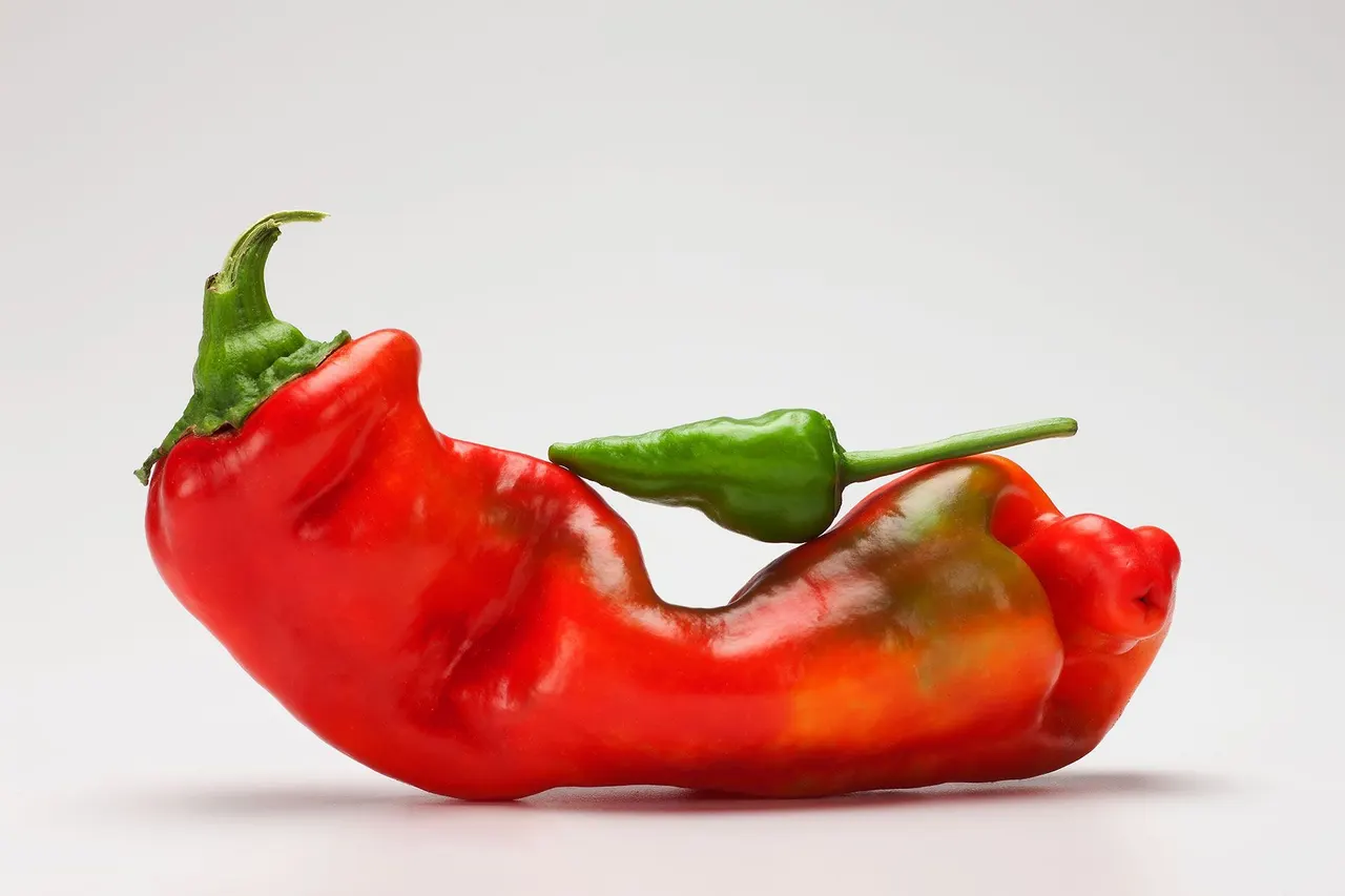 Chili Peppers | photograph by Ed Asmus