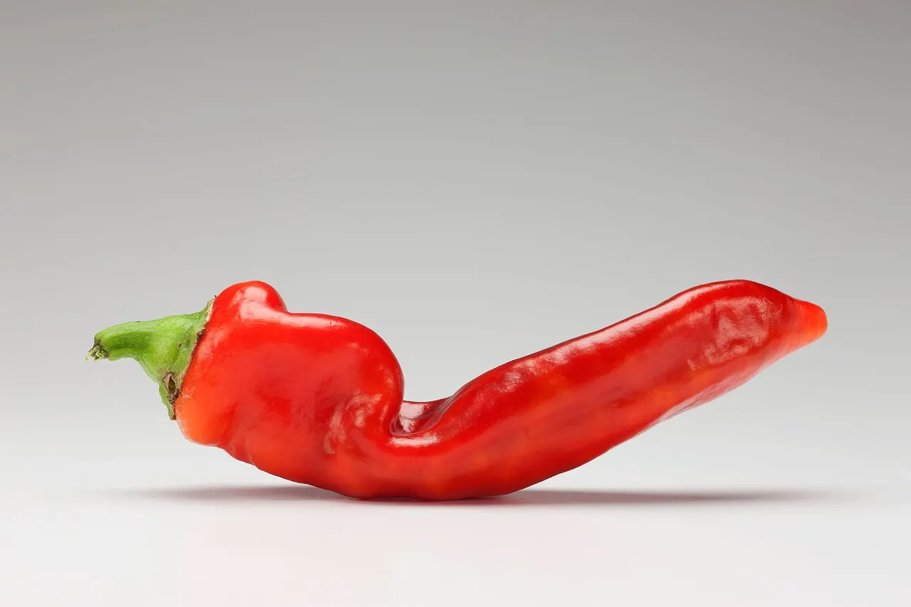 Chili Peppers | photograph by Ed Asmus