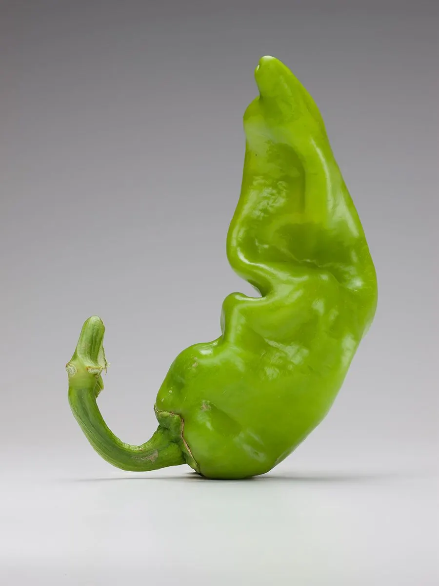 Chili Peppers | photograph by Ed Asmus