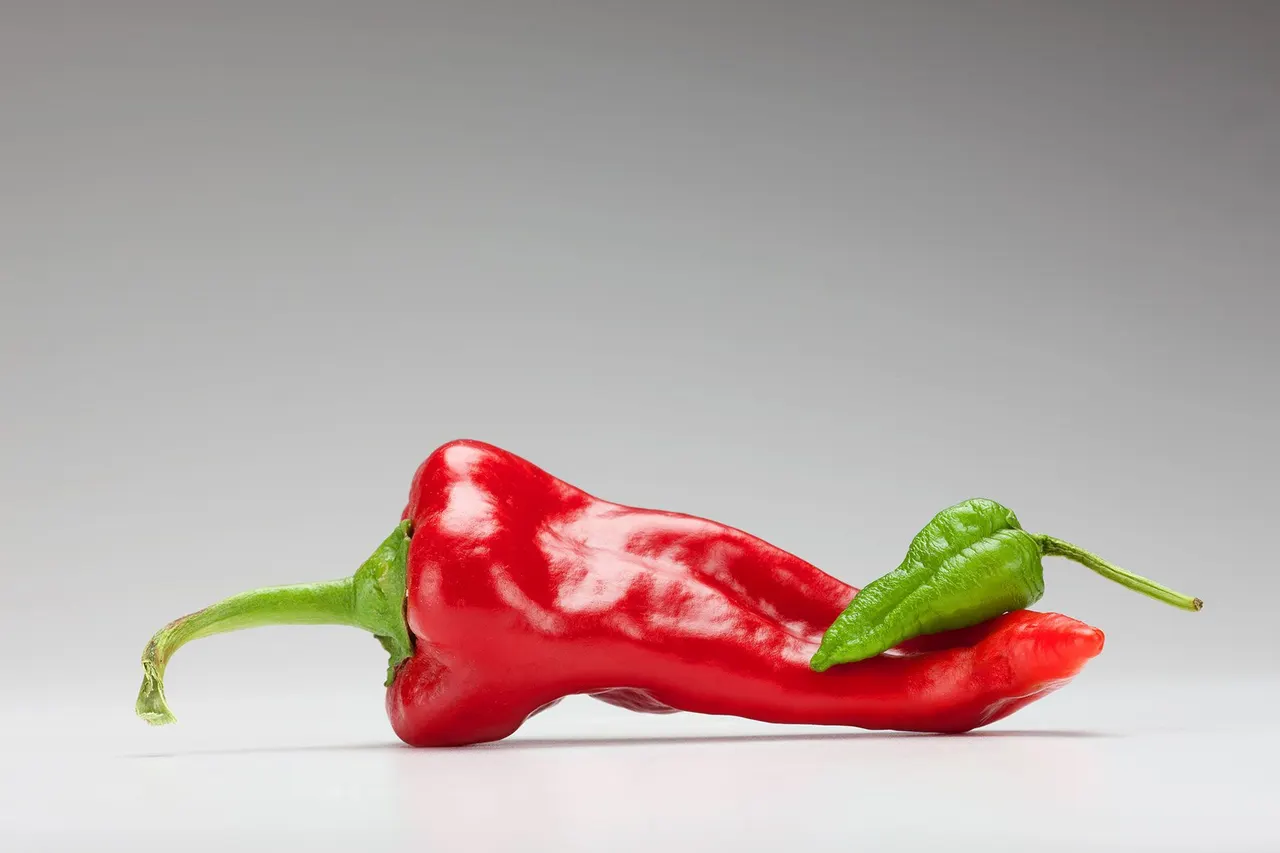 Chili Peppers | photograph by Ed Asmus