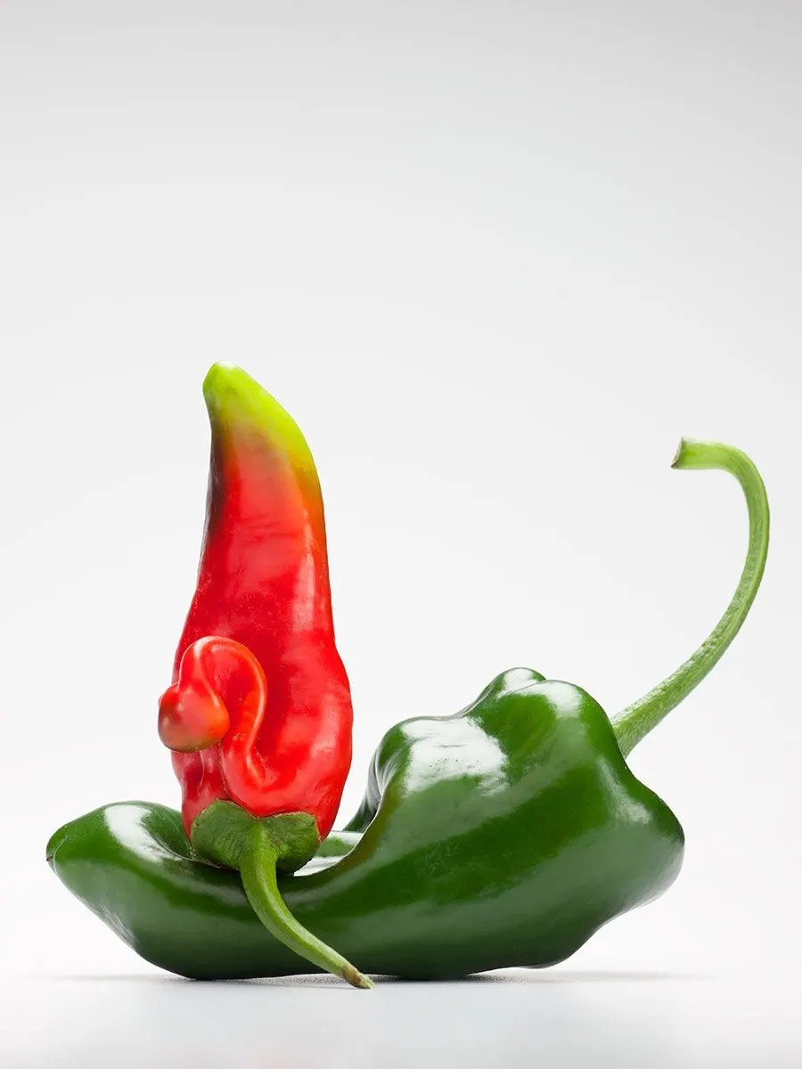 Chili Peppers | photograph by Ed Asmus