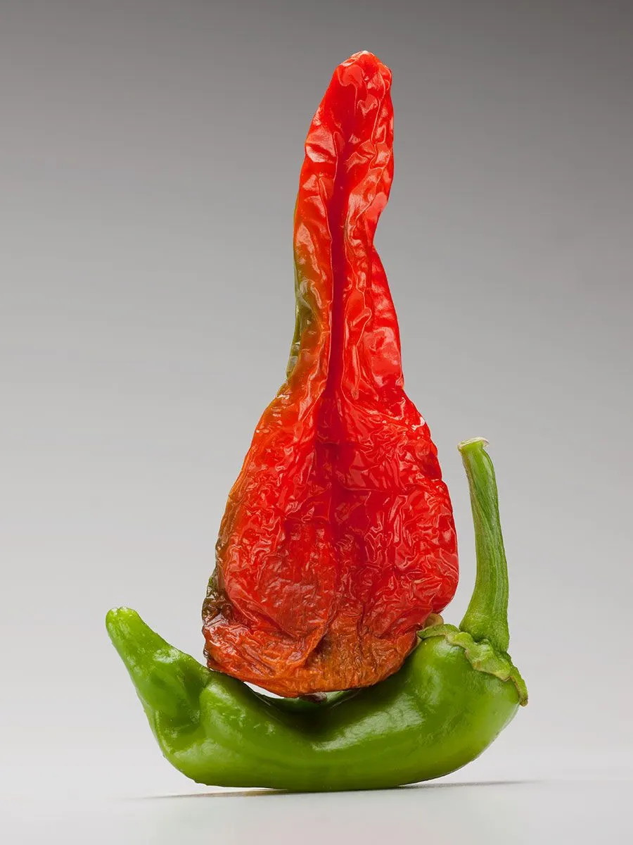 Chili Peppers | photograph by Ed Asmus