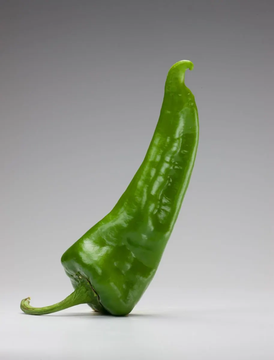 Chili Peppers | photograph by Ed Asmus