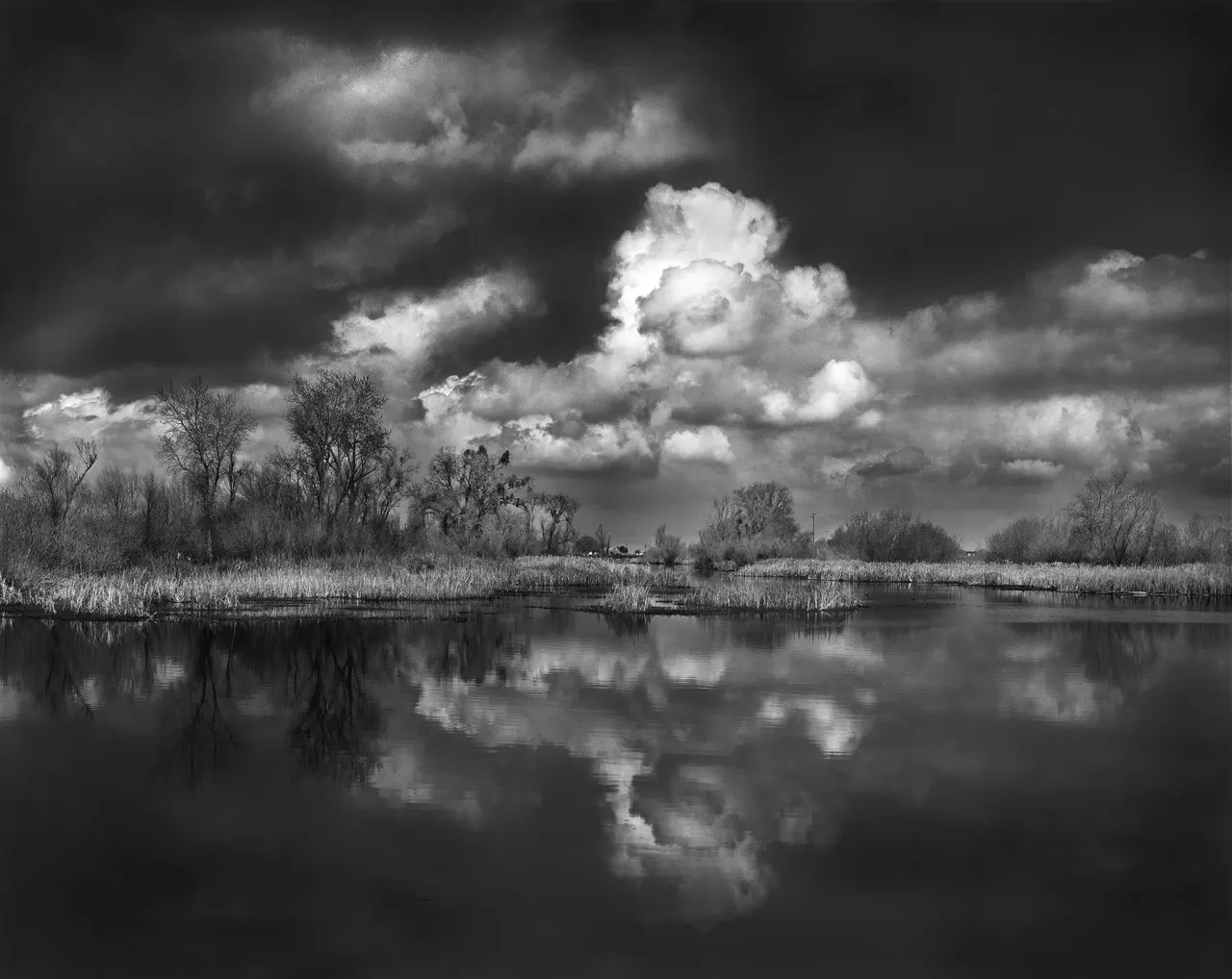 Clearing Winter Storm, StoneLakes Wildlife Refuge | photograph by Ed Asmus