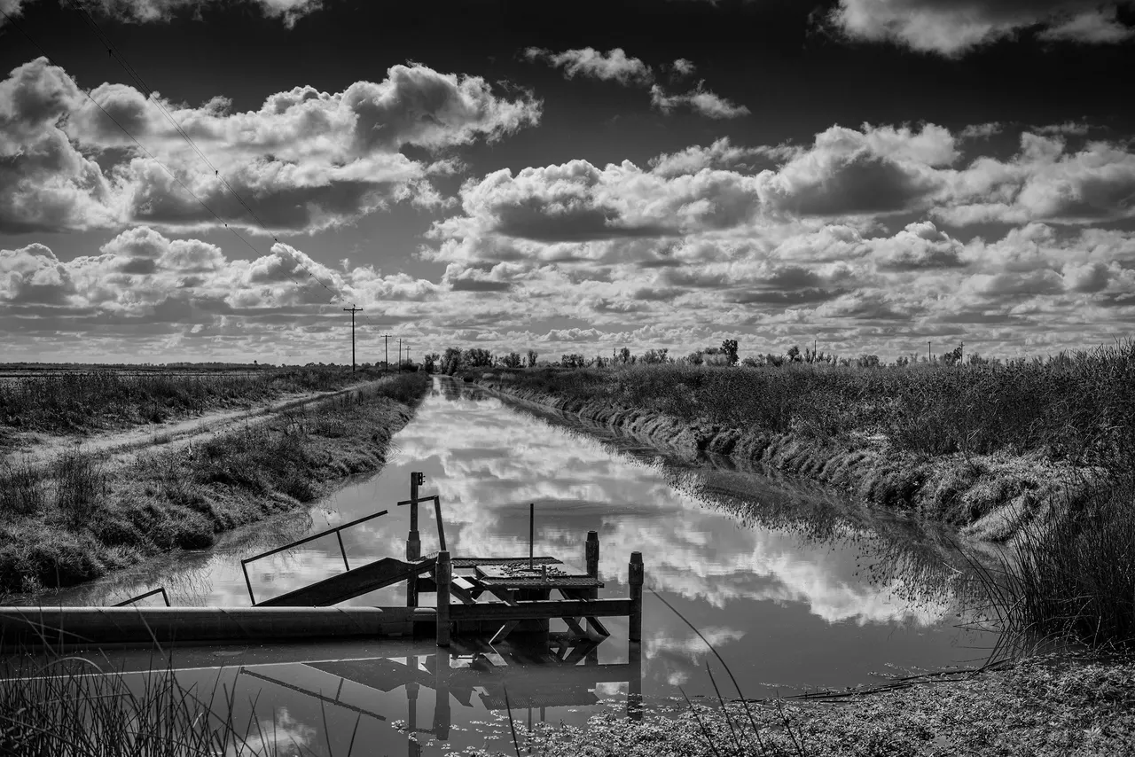 Yolo Bypass, California | photograph by Ed Asmus