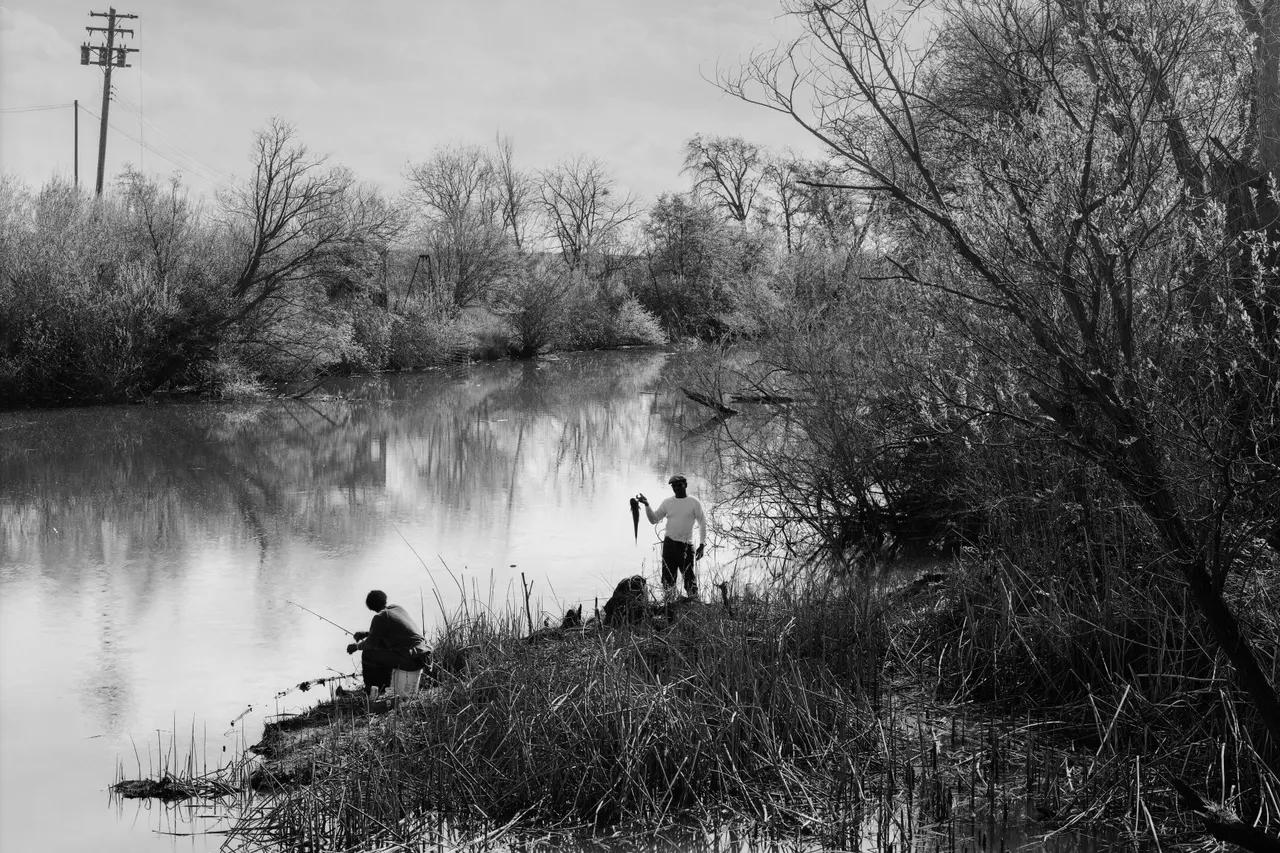 Cat fishing, Lambert Road, | photograph by Ed Asmus