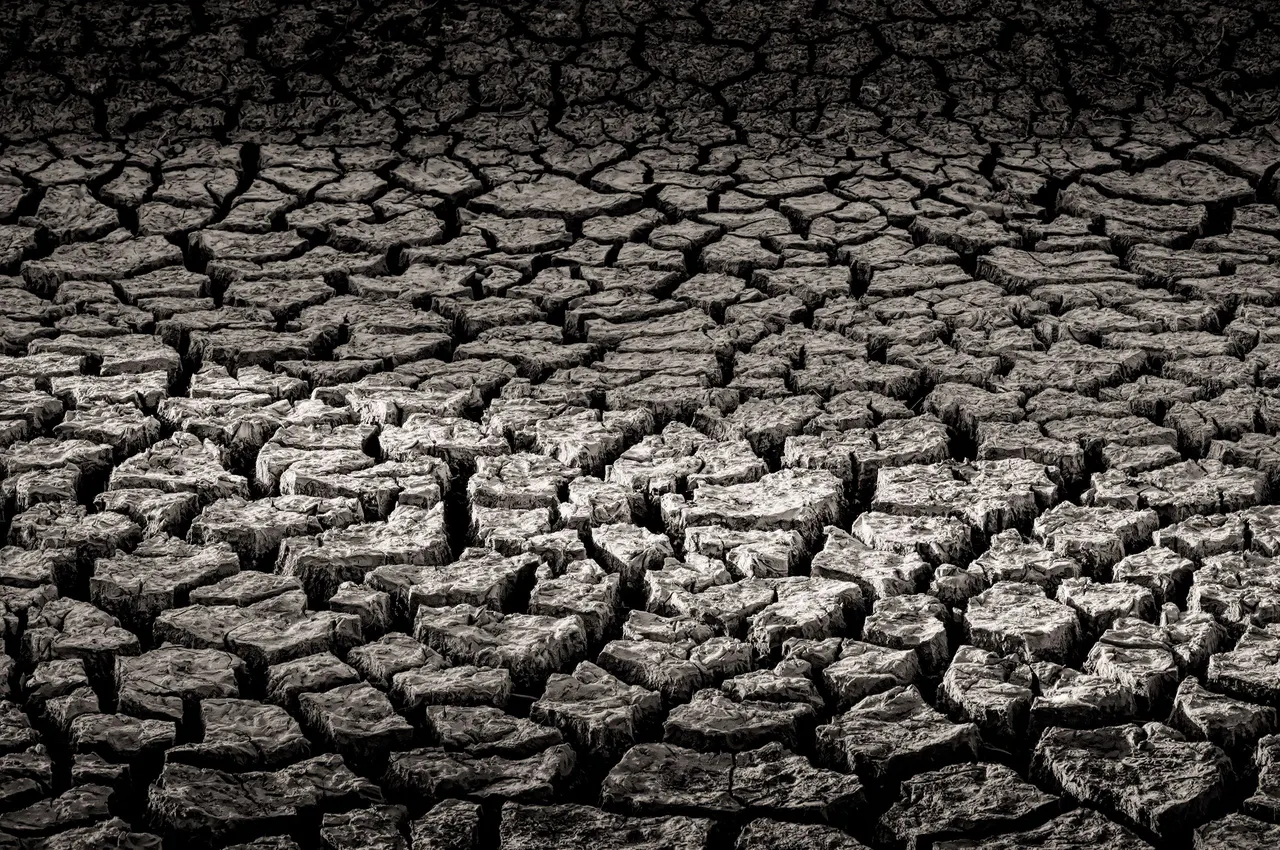 Cracked Mud, Yolo Bypass, CA | photograph by Ed Asmus